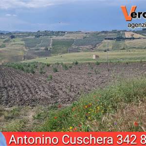 Agricultural Field for Sale in Naro