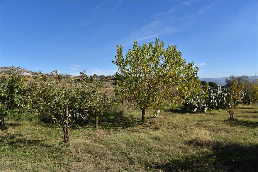 Photo 47