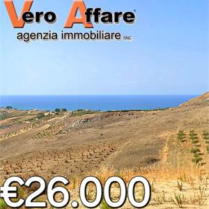 Terreno Agricolo In Vendita a Montallegro