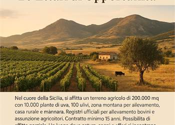 Grund zu Miete in Naro