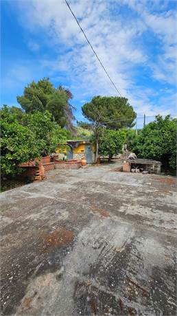 Photo 27